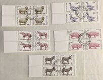 [Domestic Animals, type ELX]