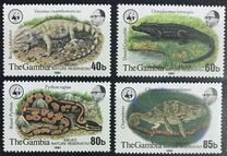 [Abuko Nature Reserve - Reptiles, type IY]