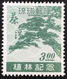 [Reforestation, type N]