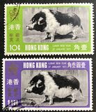 [Chinese New Year - Year of the Pig, 类型 CC]