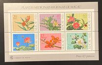 [Medicinal Plants, Typ FR]