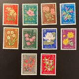 [Indigenous Flowers, type CI]