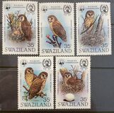 [Wildlife Conservation - African Fishing Owl, Typ KI]