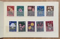 [Indigenous Flowers, type CI]