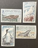 [Animals of Antarctica, Typ M]
