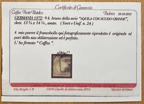 [Definitives - Eagle with Large Breastshield, tip D14]