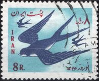 [Iranian New Year, type BLI]