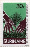 [The 25th Anniversary of Surinam Forestry Commission, тып ADV]