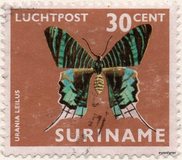 [Airmail - Moths and Butterflies, タイプ ADD]