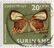 [Airmail - Moths and Butterflies, タイプ ADB]