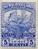 [Newfoundland Troops in the World War I, type CA1]
