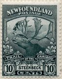 [Newfoundland Troops in the World War I, тып BZ4]