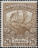 [Newfoundland Troops in the World War I, тып BZ7]
