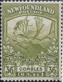 [Newfoundland Troops in the World War I, тып BZ8]