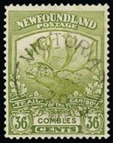 [Newfoundland Troops in the World War I, тып BZ8]