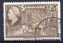 [Pictures of Surinam and Queen Wilhelmina, type BS]