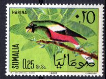 [Somali Birds, type CF]