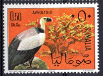 [Somali Birds, type CH]