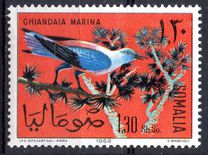[Somali Birds, type CI]