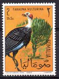 [Somali Birds, type CJ]