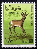 [Antelopes, type CX]