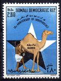 [The 10th Anniversary of Independence, סוג FJ]