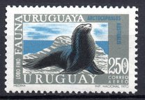 [Airmail - Local Fauna, tegund VW]