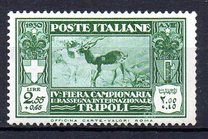 [Tripoli Fair, type AK]