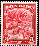 [Local Motives, тып AK]