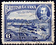 [Local Motives, тып AM]