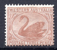[Black Swan - New Design, típus F]