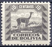 [Fauna boliviana., tipo CW]