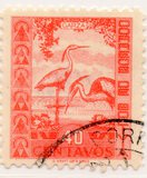 [Fauna boliviana., tipo CY]