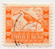 [Fauna boliviana., tipo DA]