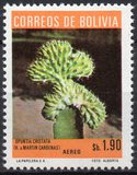 [Airmail - Cacti, Scrivi RI]