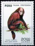 [Airmail - Fauna Protection, tegund YD1]