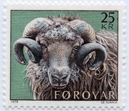 [Faroese Ram, тип AE]