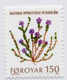 [Plantas silvestres., tipo AM]