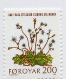 [Plantas silvestres., tipo AN]