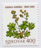 [Plantas silvestres., tipo AO]