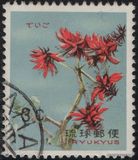 [Ryukyu Flowers, 类型 CX]