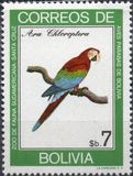 [Parrots, type YV]