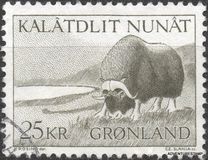[Musk Ox, 類型 AI]