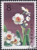 [Narcissi, type CJY]