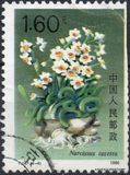 [Narcissi, type CKB]