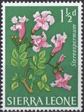[Flowers, tyyppi BT]
