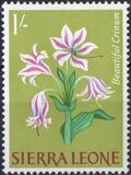 [Flowers, tyyppi BY]