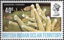 [Corals, type AD]