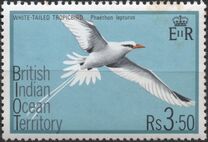 [Birds, Вид BH]