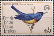 [Birds, Вид BI]